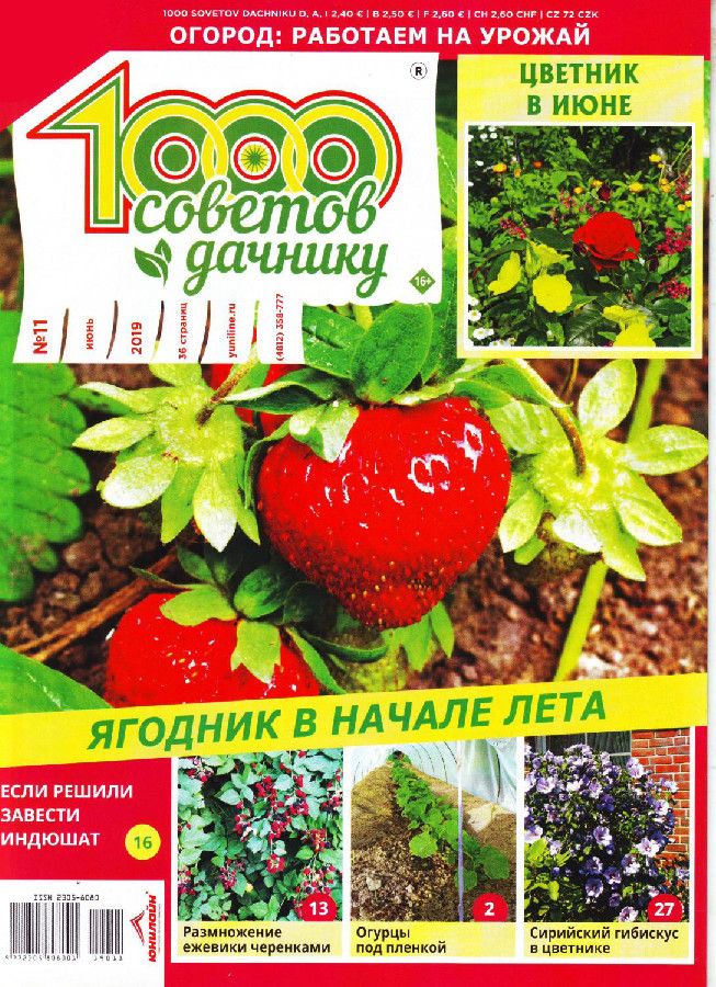 Журнал 1000 советов дачнику