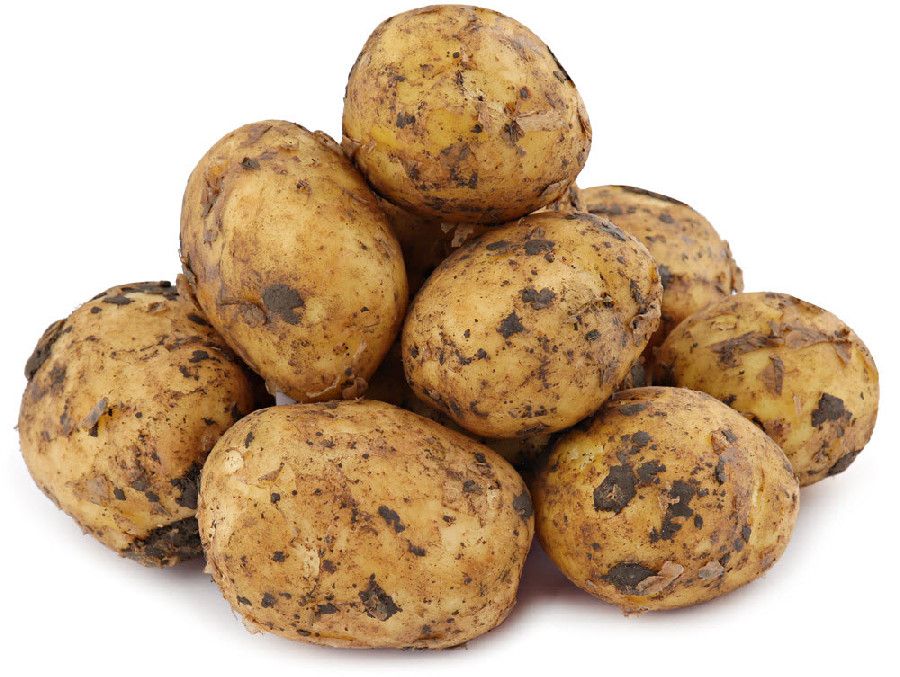 Куплю картофель приморский. Картофель фасованный. Картофель в России. Картофель, 1 кг. Картофель в Приморье.