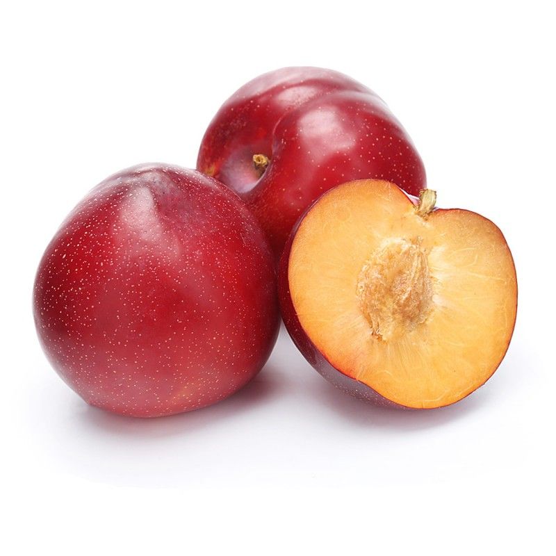 Женский половой персик. Слива красная. Гибрид абрикоса и персика. Полу слива полу персик название.