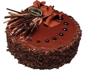 Петра I поздравили с днем рождения огромным тортом на Адмиралтейской набережной