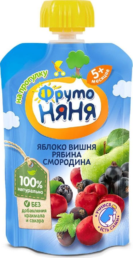 Десерт ФрутоНяня яблоко/вишня/рябина/смородина 90г  